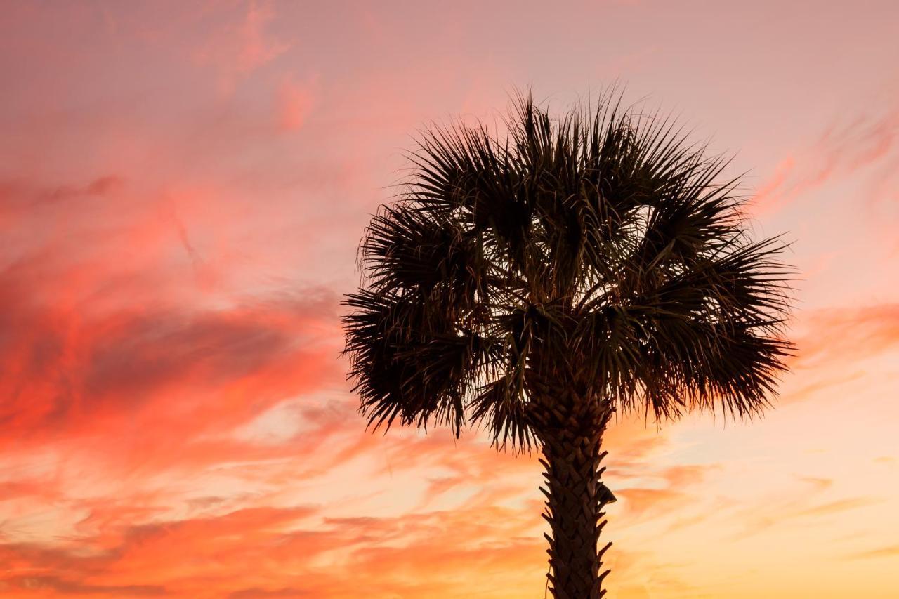 1314 Pelican Watch - Seabrook Island - Beachfront 5 Star Condo - Fido Friendly Buitenkant foto