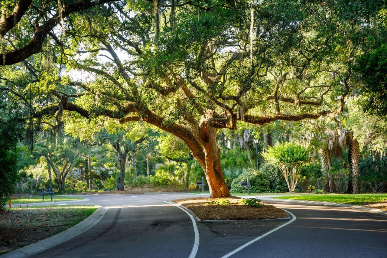 1314 Pelican Watch - Seabrook Island - Beachfront 5 Star Condo - Fido Friendly Buitenkant foto
