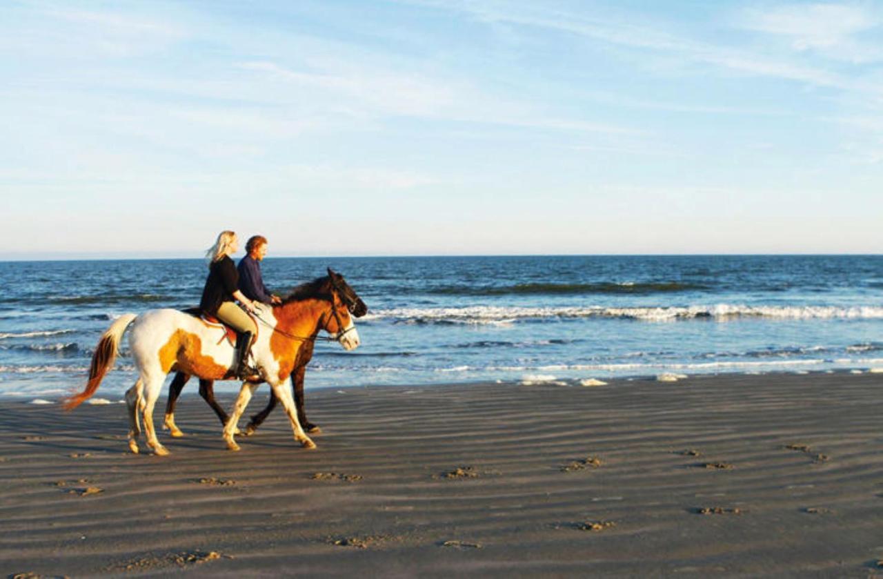 1314 Pelican Watch - Seabrook Island - Beachfront 5 Star Condo - Fido Friendly Buitenkant foto